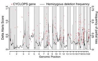 Copy-number and gene dependency analysis reveals partial copy loss of wild-type SF3B1 as a novel cancer vulnerability