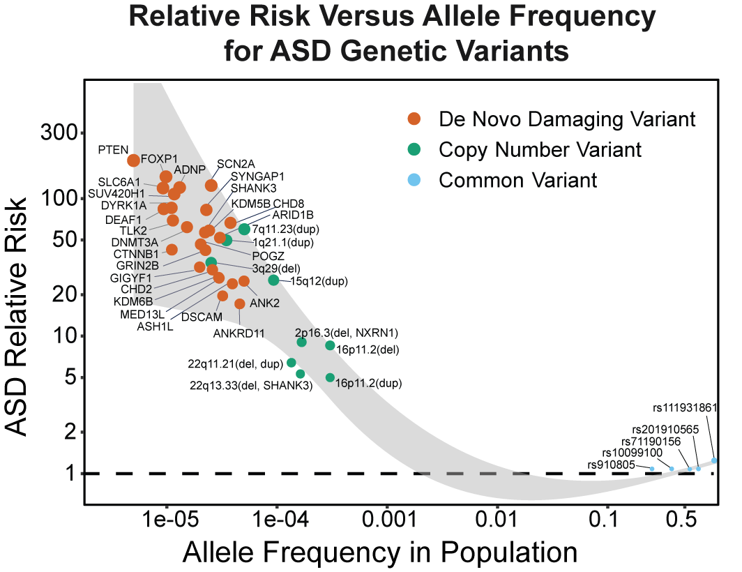 Genomics, convergent neuroscience and progress in understanding autism spectrum disorder