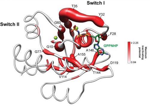 Comprehensive structure-function analysis reveals gain- and loss-of-function mechanisms impacting oncogenic KRAS activity