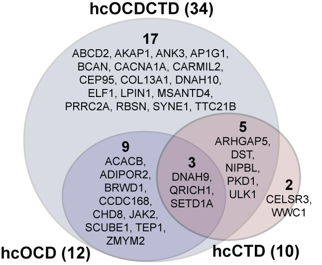 Rare coding mutations identify 36 large-effect risk genes in obsessive-compulsive disorder and chronic tic disorders