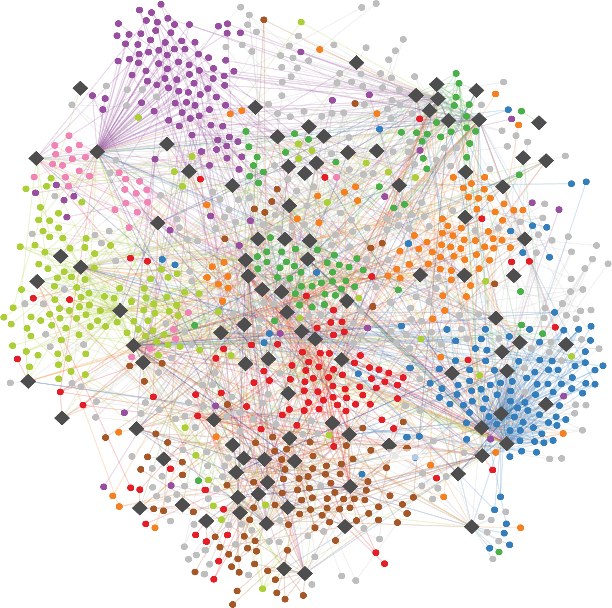 Autism mutations rewire protein interaction networks to drive neurodevelopmental pathology
