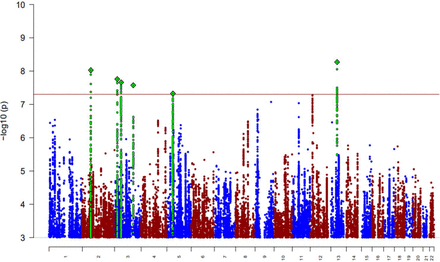 Genome-Wide Association Analysis of Tic Disorders Reveals 6 Independent Risk Loci and Highlights Tic-Associated Cell Types and Brain Circuitry