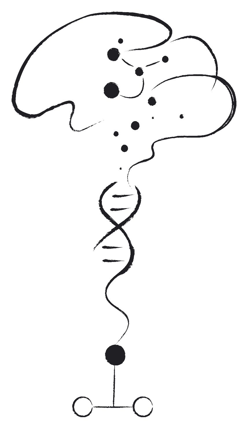 Belinda Wang Lab logo